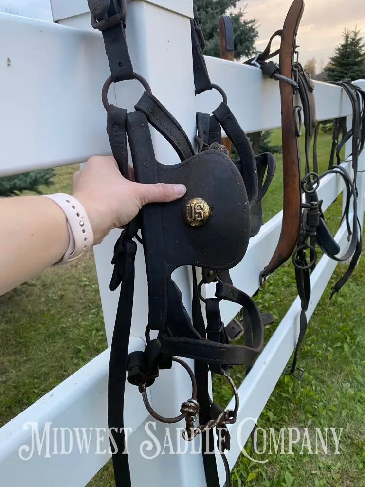 Antique U.S. Cavalry Horse Team Leather Harnesses - Great Condition! Driving Harness