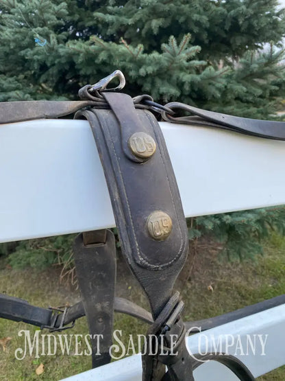 Antique U.S. Cavalry Horse Team Leather Harnesses - Great Condition! Driving Harness