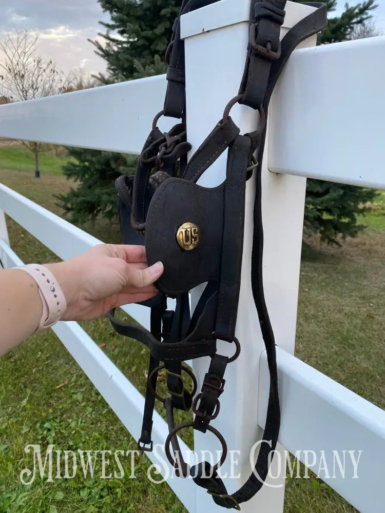Antique U.S. Cavalry Horse Team Leather Harnesses - Great Condition! Driving Harness