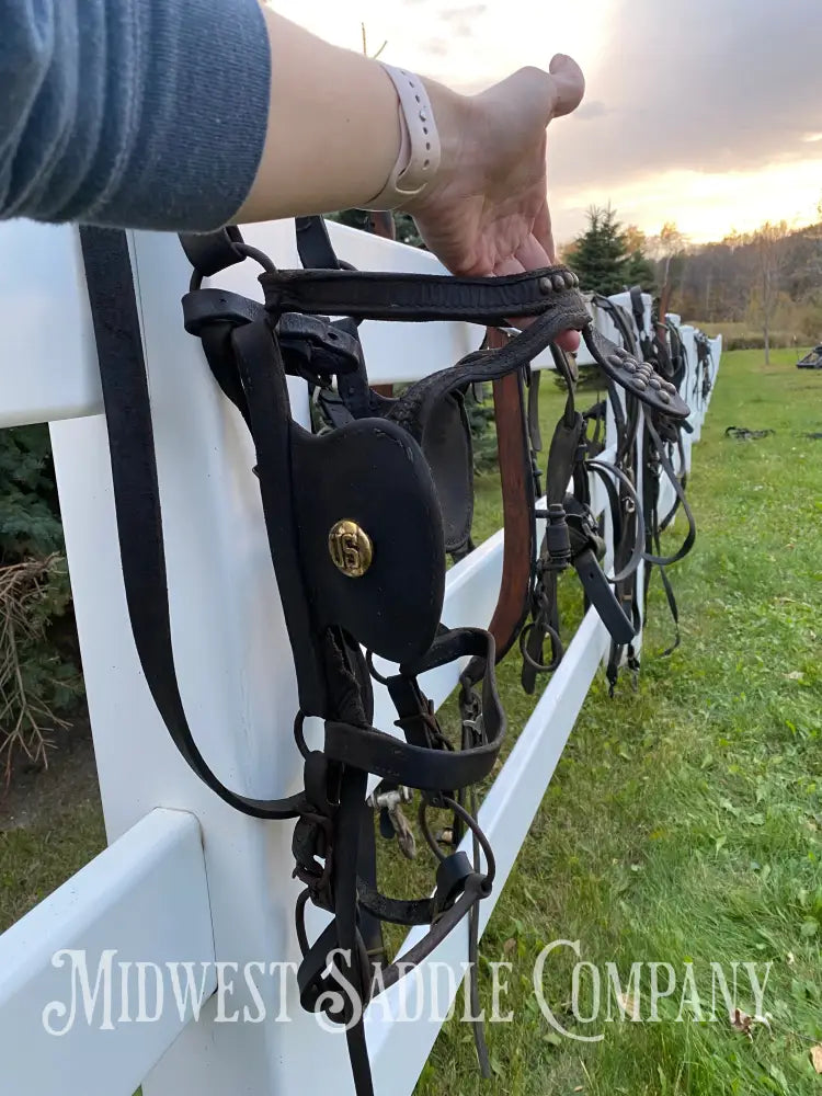 Antique U.S. Cavalry Horse Team Leather Harnesses - Great Condition! Driving Harness