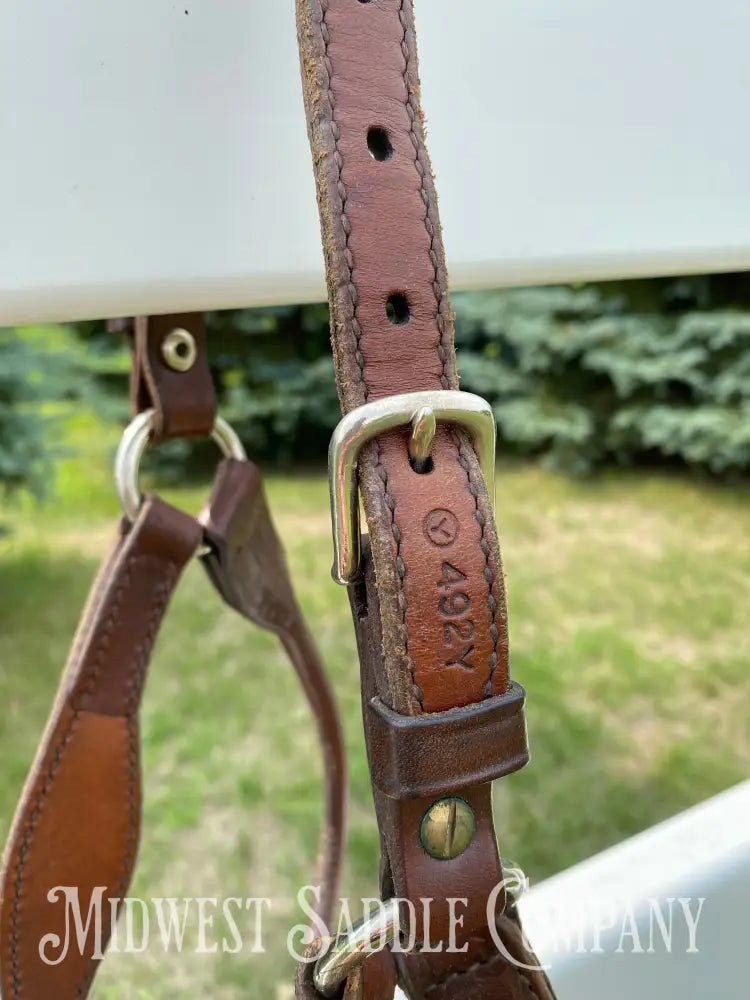 Circle Y Scalloped Leather Halter Yearling Size Horse Tack