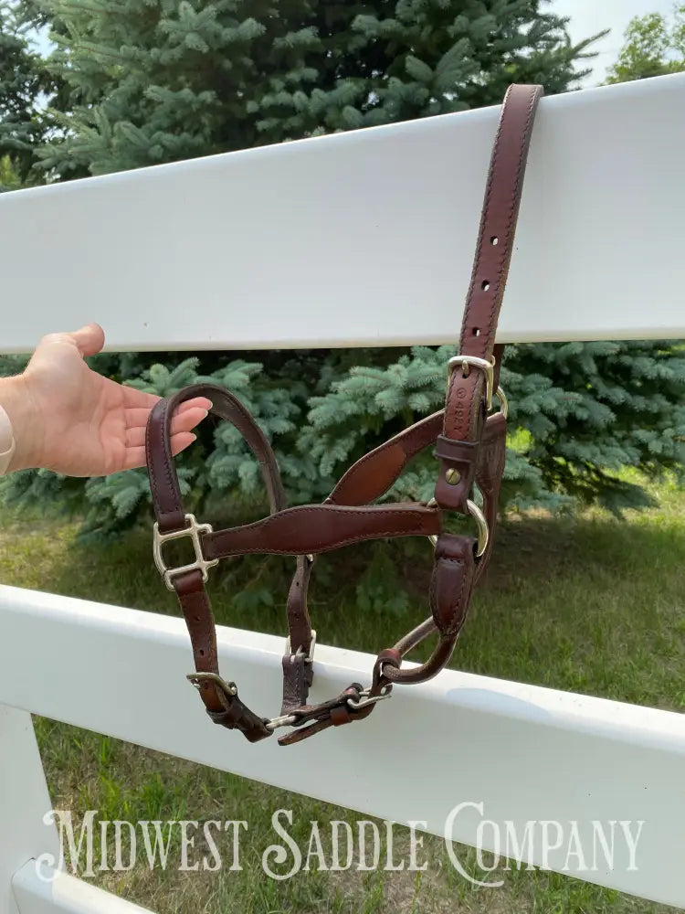 Circle Y Scalloped Leather Halter Yearling Size Horse Tack