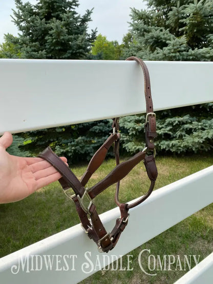 Circle Y Scalloped Leather Halter Yearling Size Horse Tack