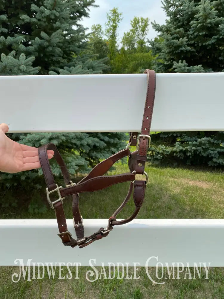 Circle Y Scalloped Leather Halter Yearling Size Horse Tack