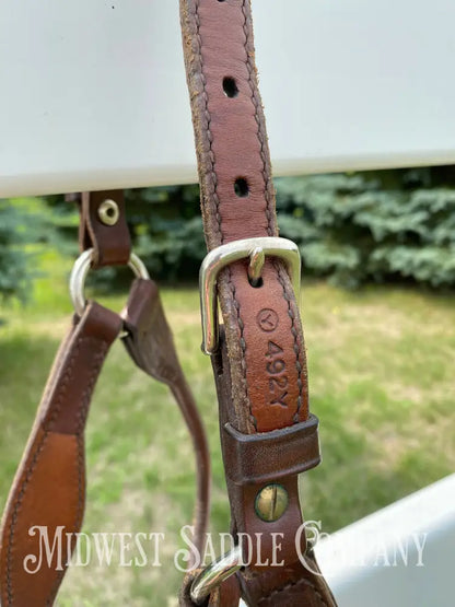 Circle Y Scalloped Leather Halter Yearling Size Horse Tack