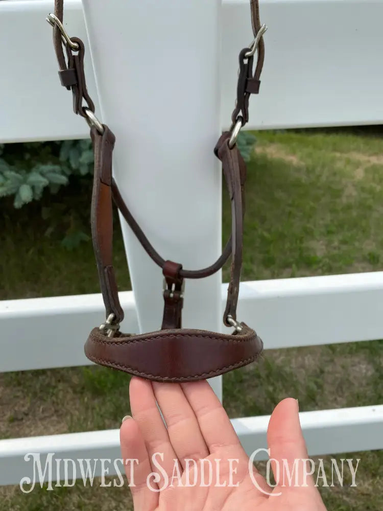 Circle Y Scalloped Leather Halter Yearling Size Horse Tack