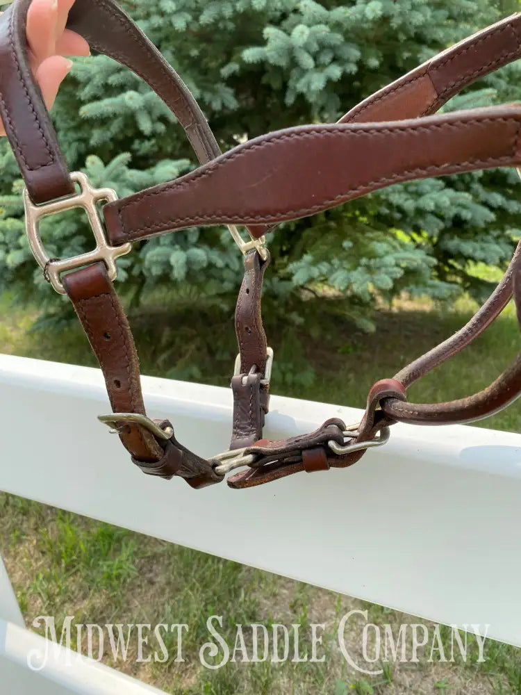 Circle Y Scalloped Leather Halter Yearling Size Horse Tack