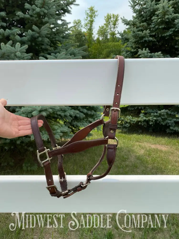 Circle Y Scalloped Leather Halter Yearling Size Horse Tack