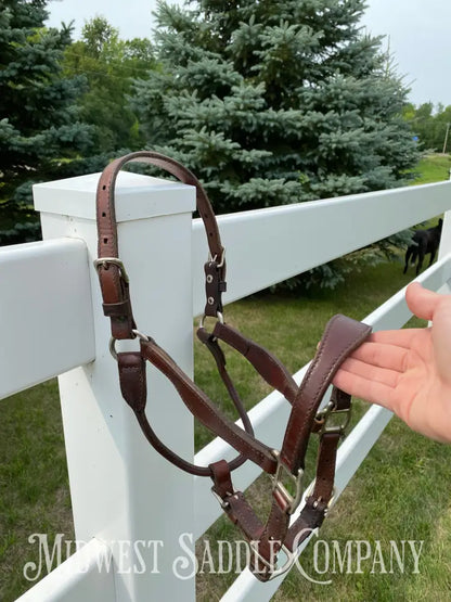 Circle Y Scalloped Leather Halter Yearling Size Horse Tack