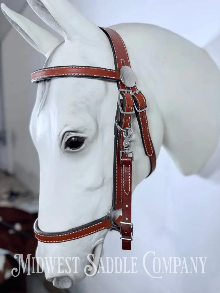 Circle Y Tucker Standard Trail Halter Bridle Combination Headstall Full Horse Size - Bridles & Headstalls