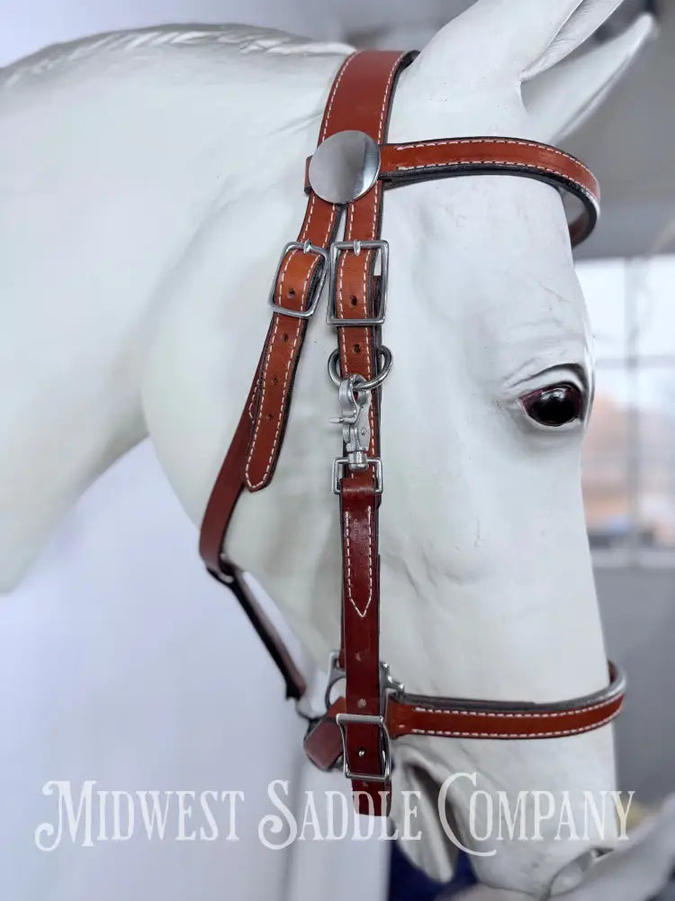 Circle Y Tucker Standard Trail Halter Bridle Combination Headstall Full Horse Size - Bridles & Headstalls