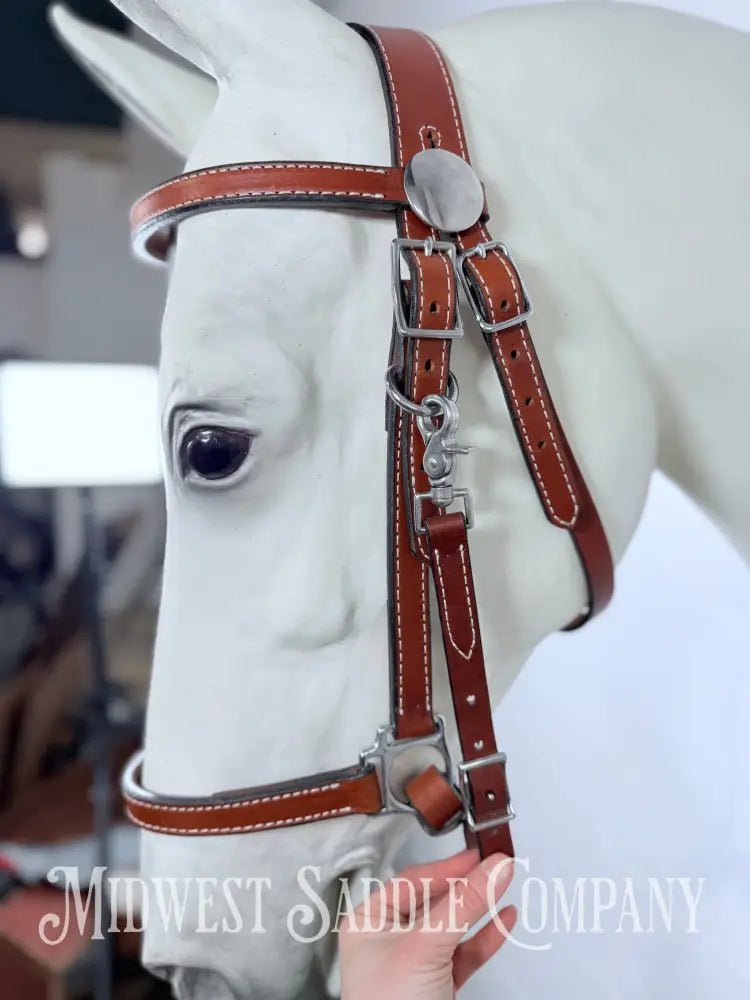 Circle Y Tucker Standard Trail Halter Bridle Combination Headstall Full Horse Size - Bridles & Headstalls