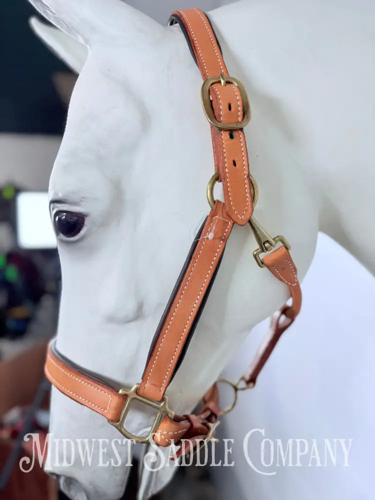 Fully Adjustable Padded Leather Halter Large Horse Size - Halter