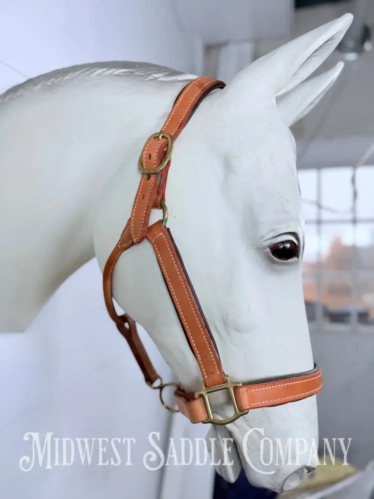 Fully Adjustable Padded Leather Halter Large Horse Size - Halter