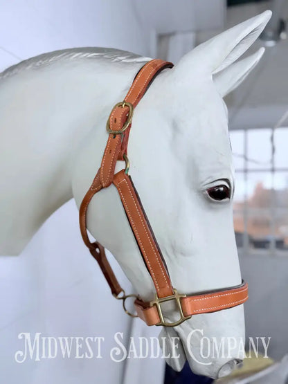 Fully Adjustable Padded Leather Halter Large Horse Size - Halter