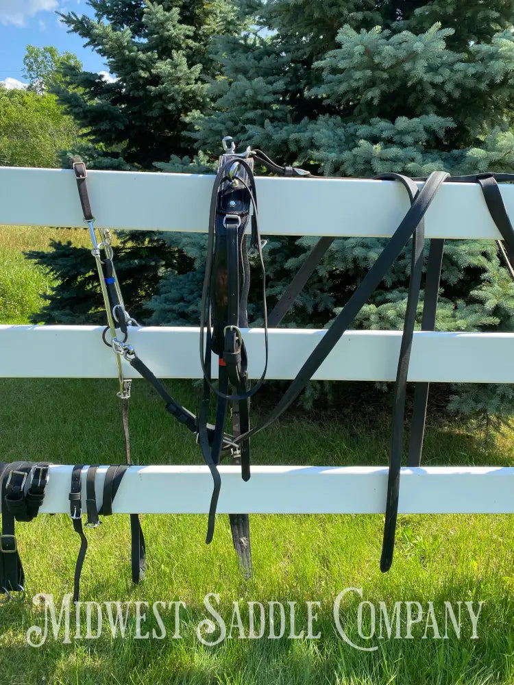 Light Horse Team Leather Driving Harnesses - Show / Parade Harness