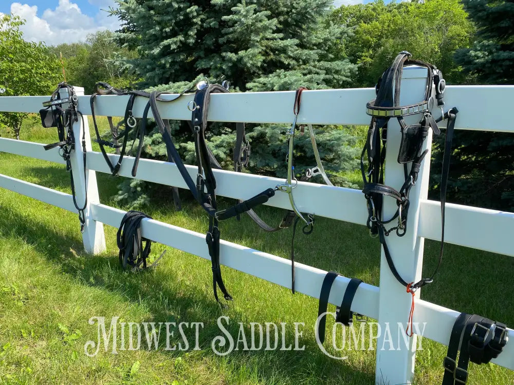 Light Horse Team Leather Driving Harnesses - Show / Parade Harness