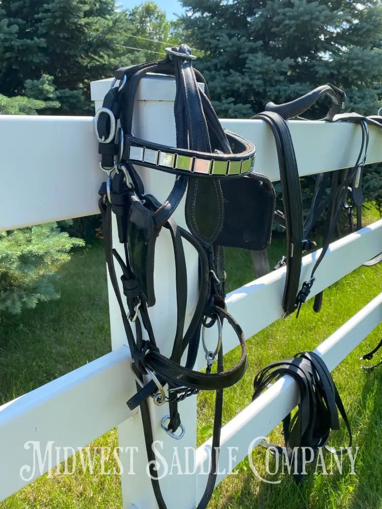 Light Horse Team Leather Driving Harnesses - Show / Parade Harness