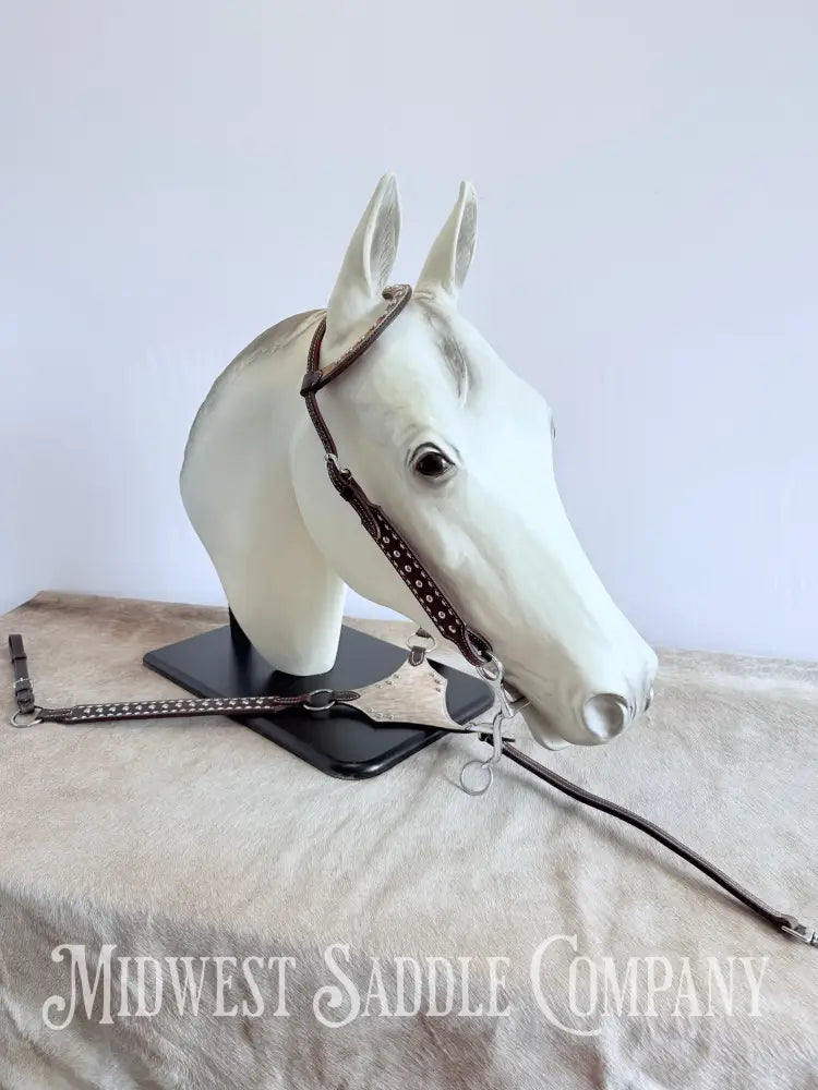 New Buckstitch Dot Western Headstall & Bikini Breast Collar Hair-on-Hide Full Horse Size Tack Set