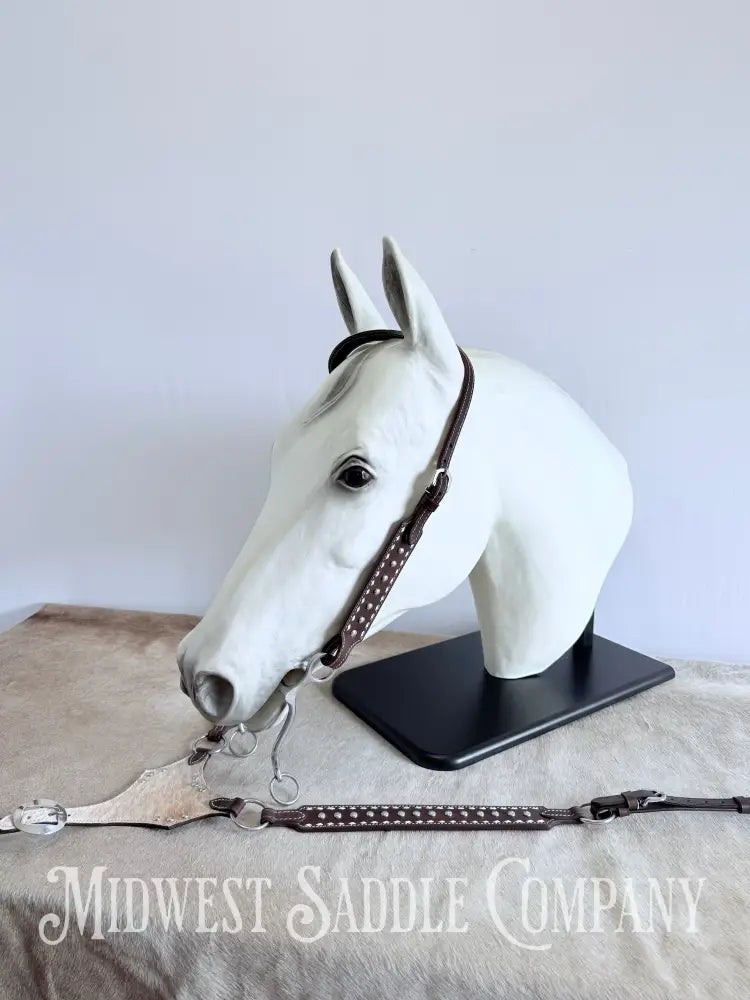 New Buckstitch Dot Western Headstall & Bikini Breast Collar Hair-on-Hide Full Horse Size Tack Set