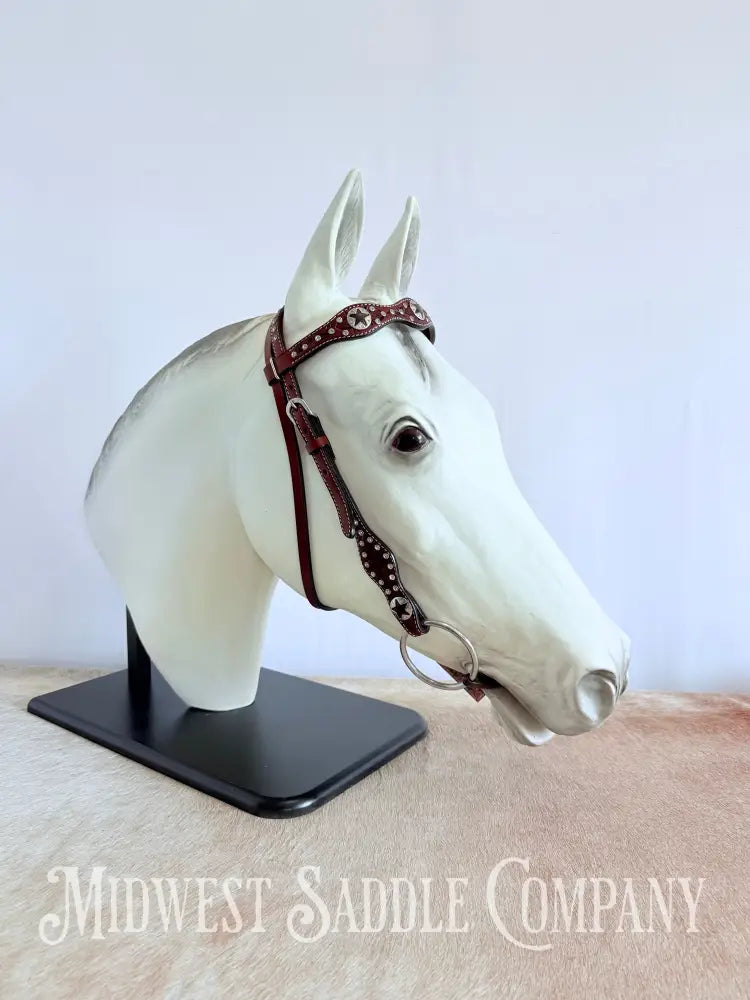 New Circle Y Star Concho & Rhinestone Leather Headstall Full Horse Size Bridles & Headstalls