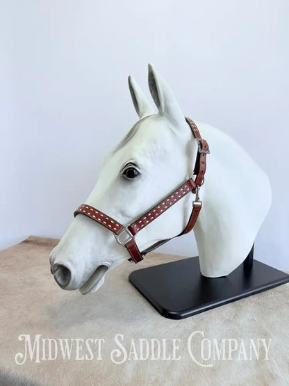 Classic White Buckstitch Western Leather Halter - Average Horse Size Halter