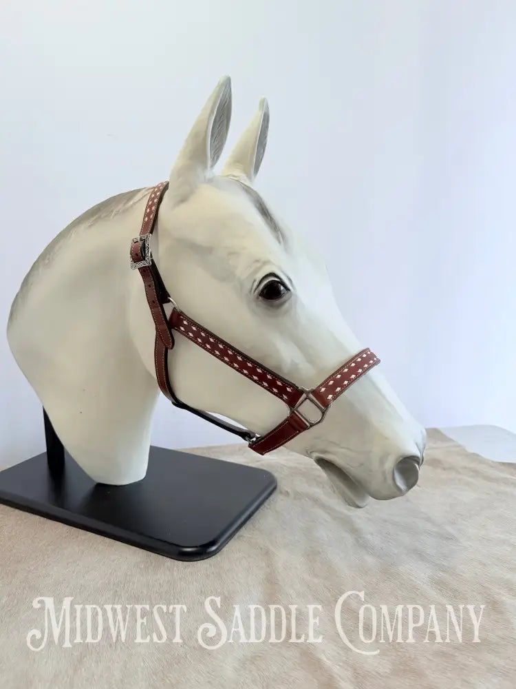 Classic White Buckstitch Western Leather Halter - Average Horse Size Halter