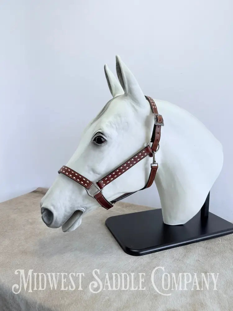 Classic White Buckstitch Western Leather Halter - Average Horse Size Halter