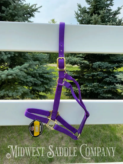 Nwt Weaver Original Purple Nylon Halter Large Horse Tack