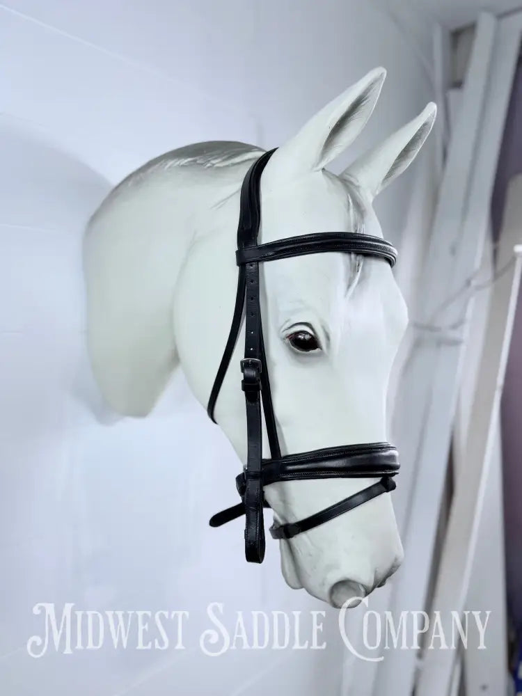 Pinnacle Comfort Plus Padded Black Dressage Bridle with Flash Cob Size - Bridles & Headstalls