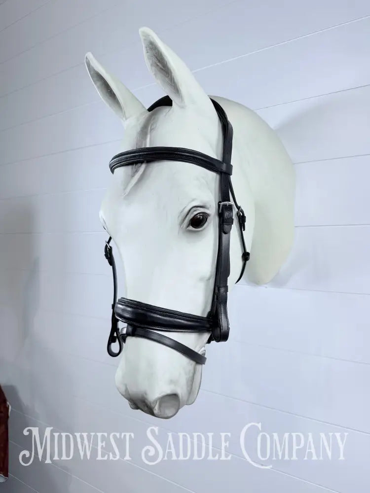 Pinnacle Comfort Plus Padded Black Dressage Bridle with Flash Cob Size - Bridles & Headstalls