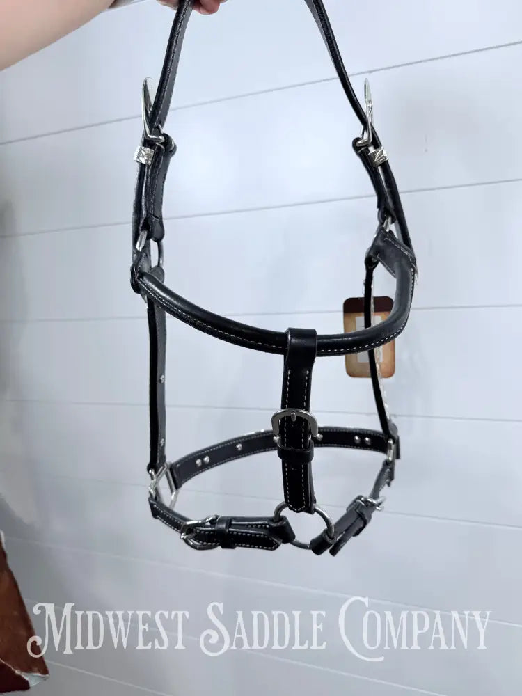 Tabelo Western Silver Show Halter Full Horse Size - Halter