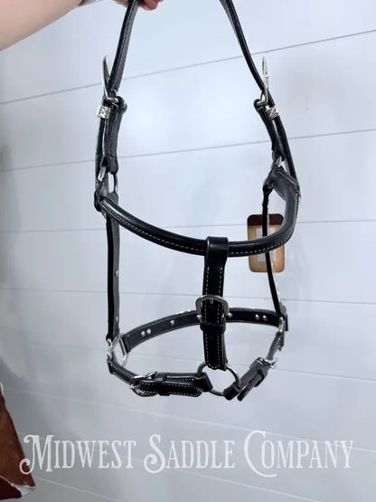 Tabelo Western Silver Show Halter Full Horse Size - Halter