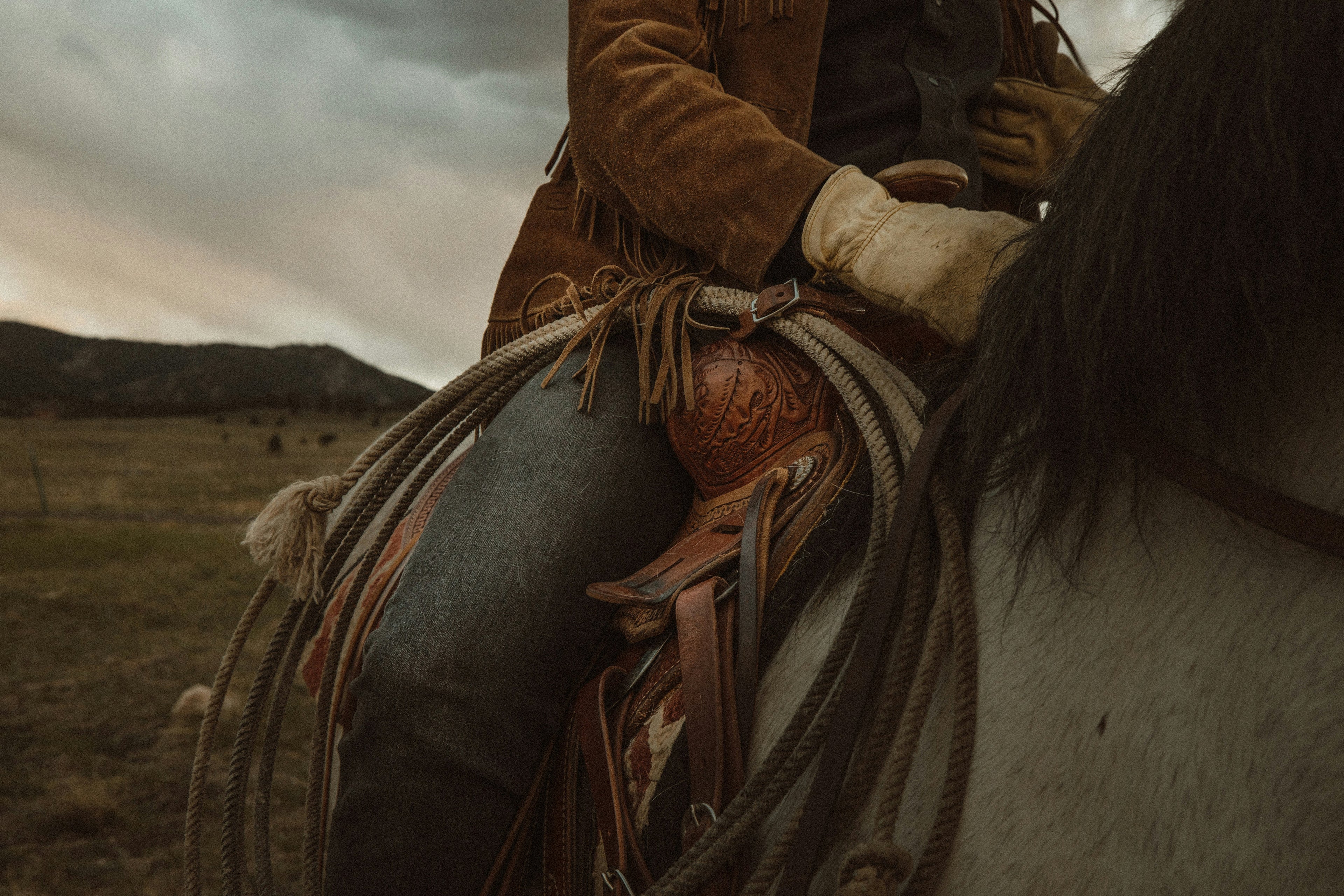 Saddled horse being ridden near mountains.