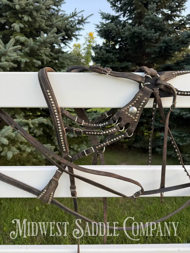 Team Leather Pulling Harnesses with Collars Large Pony / Light Horse Size 19” Red Hames - Driving Harness