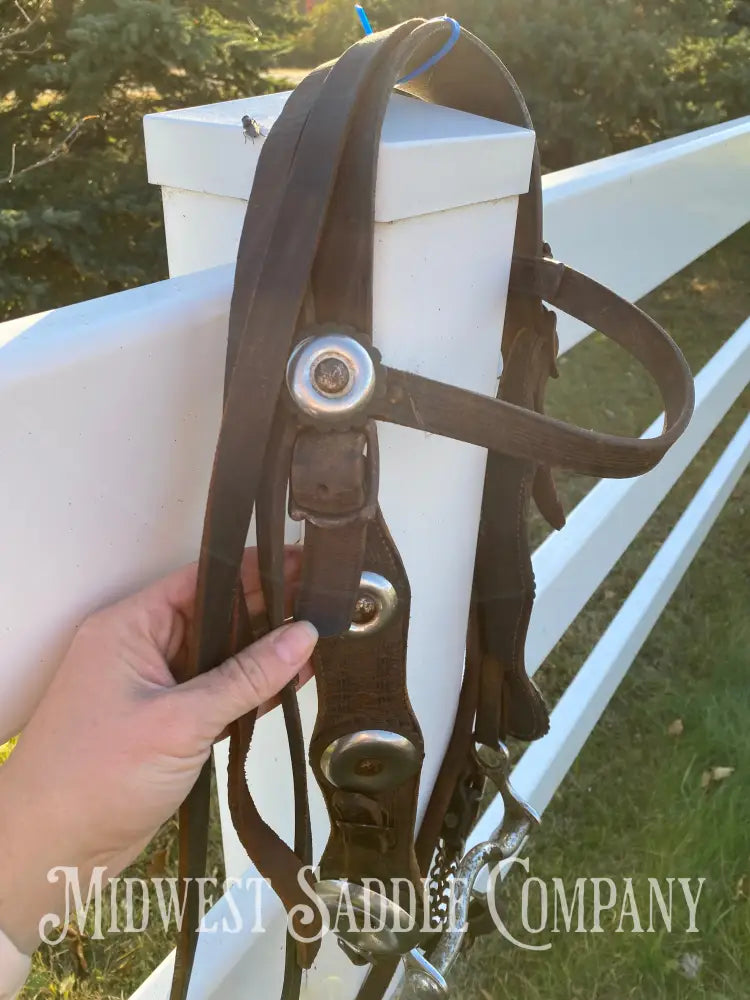 Vintage Oversized Silver Concho Horse Parade Bridle with Curb Bit & Reins Bridles & Headstalls