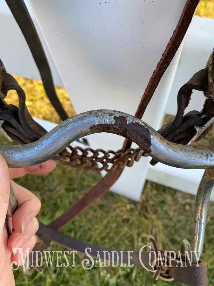 Vintage Oversized Silver Concho Horse Parade Bridle with Curb Bit & Reins Bridles & Headstalls