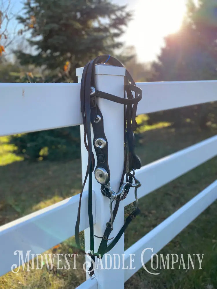Vintage Oversized Silver Concho Horse Parade Bridle with Curb Bit & Reins Bridles & Headstalls