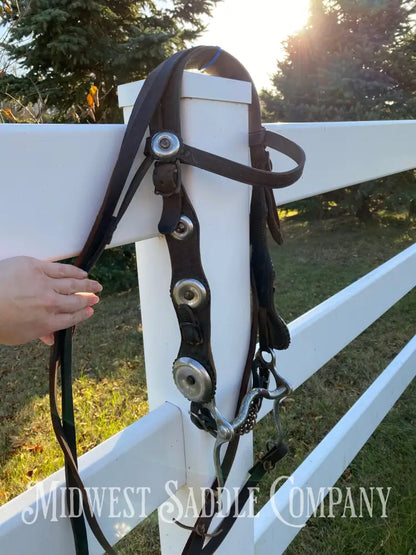 Vintage Oversized Silver Concho Horse Parade Bridle with Curb Bit & Reins Bridles & Headstalls
