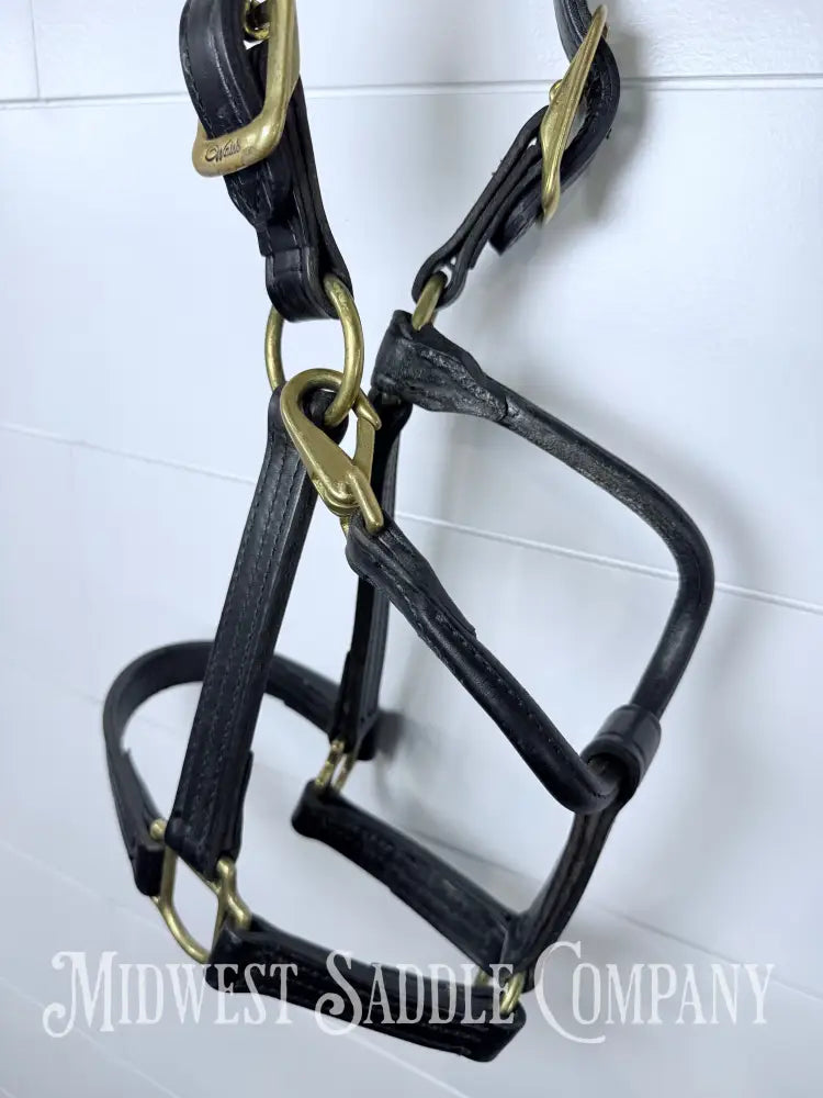 Walsh 1” Triple Stitched Leather Halter Havana Throat Snap Cob Size - Halter