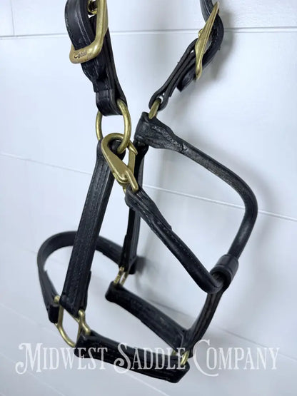 Walsh 1” Triple Stitched Leather Halter Havana Throat Snap Cob Size - Halter