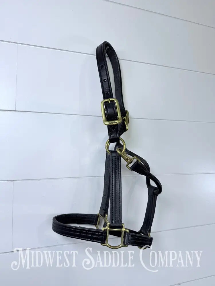 Walsh 1” Triple Stitched Leather Halter Havana Throat Snap Cob Size - Halter