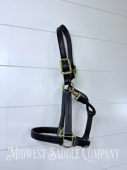 Walsh 1” Triple Stitched Leather Halter Havana Throat Snap Cob Size - Halter