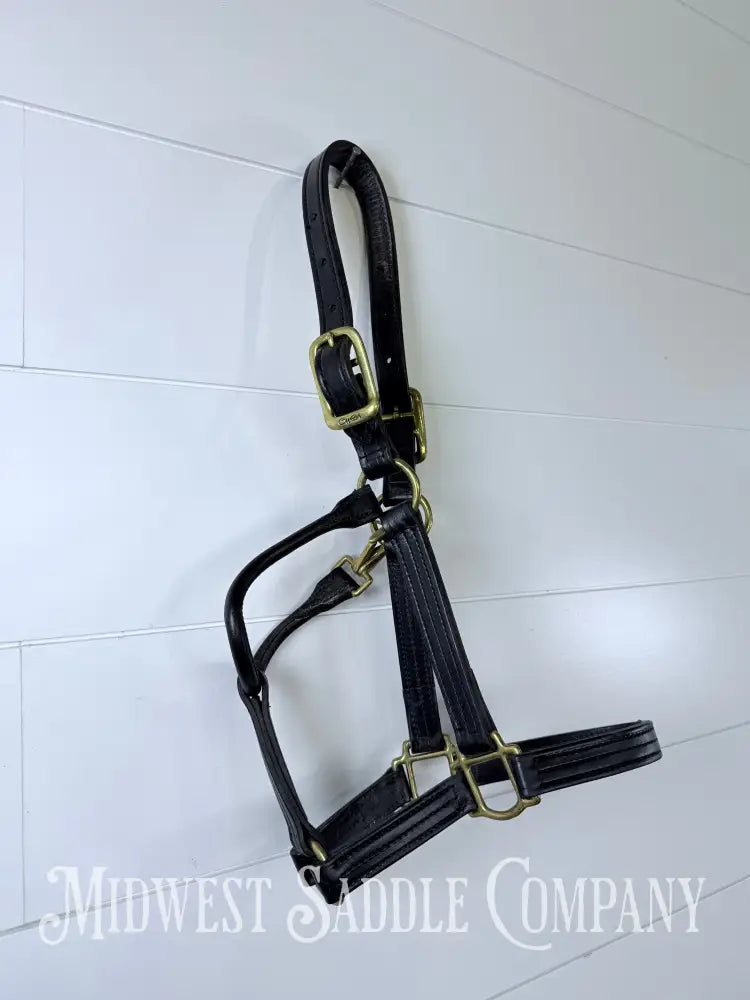 Walsh 1” Triple Stitched Leather Halter Havana Throat Snap Cob Size - Halter