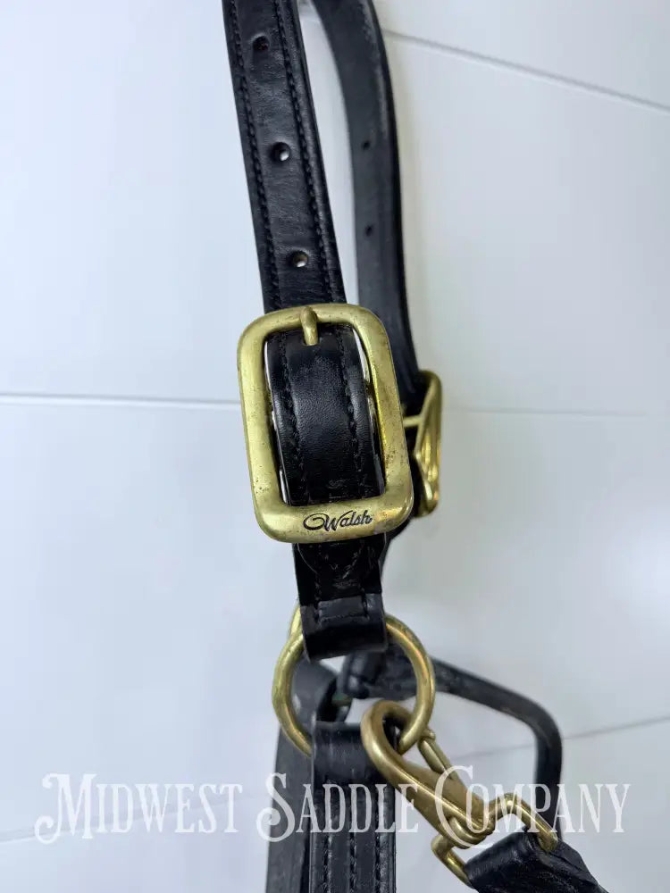 Walsh 1” Triple Stitched Leather Halter Havana Throat Snap Cob Size - Halter