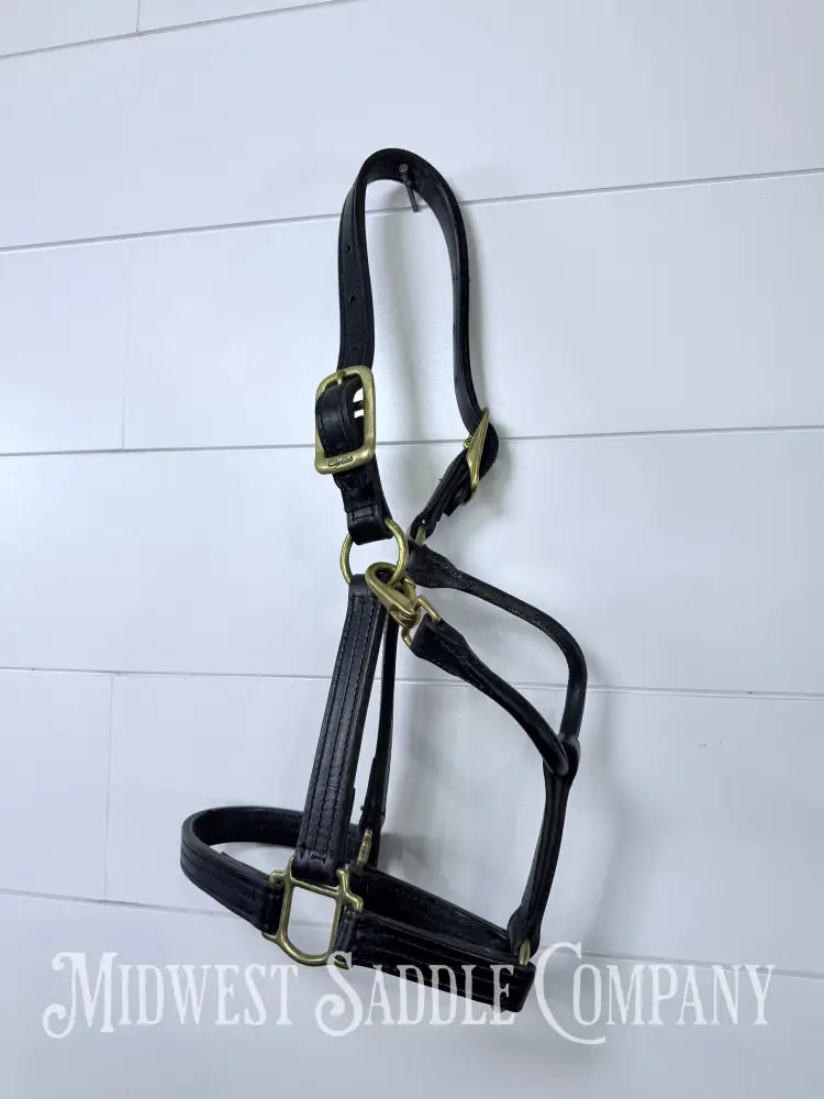 Walsh 1” Triple Stitched Leather Halter Havana Throat Snap Cob Size - Halter
