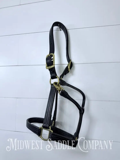 Walsh 1” Triple Stitched Leather Halter Havana Throat Snap Cob Size - Halter
