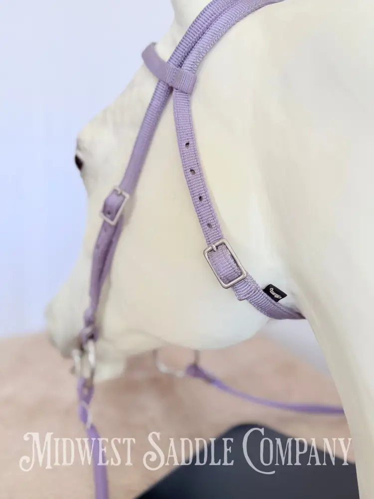 Weaver Nylon Browband Headstall and Split Reins Lavender Purple - Large Horse Size Bridles & Headstalls