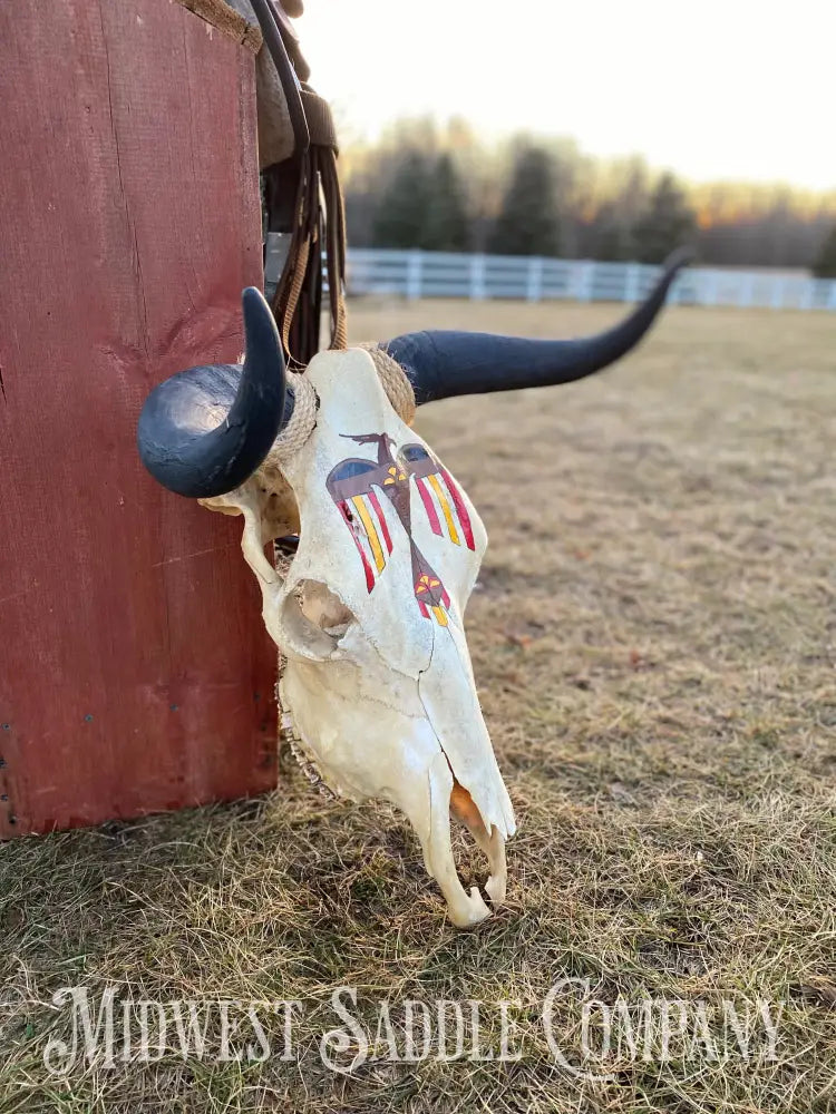 Western Steer Bull Skull With Hand-Painted Native American Thunderbird Artwork