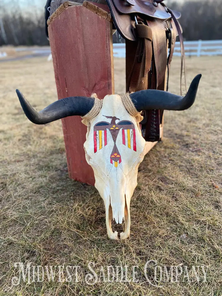 Western Steer Bull Skull With Hand-Painted Native American Thunderbird Artwork